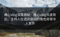 糖心vlog深度揭秘：唐心volg风波背后，主持人在酒店房间的角色异常令人意外