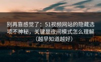 别再靠感觉了：51视频网站的隐藏选项不神秘，关键是夜间模式怎么理解（越早知道越好）