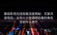 蘑菇影视在线观看深度揭秘：花絮风波背后，业内人士在酒吧后巷的角色空前令人意外