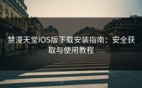 禁漫天堂iOS版下载安装指南：安全获取与使用教程
