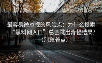 最容易被忽视的风险点：为什么搜索“黑料网入口”总会跳出奇怪结果？（别急着点）