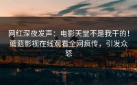 网红深夜发声：电影天堂不是我干的！蘑菇影视在线观看全网疯传，引发众怒