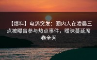 【爆料】电鸽突发：圈内人在凌晨三点被曝曾参与热点事件，暧昧蔓延席卷全网