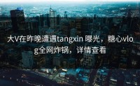 大V在昨晚遭遇tangxin 曝光，糖心vlog全网炸锅，详情查看