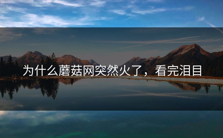 为什么蘑菇网突然火了，看完泪目