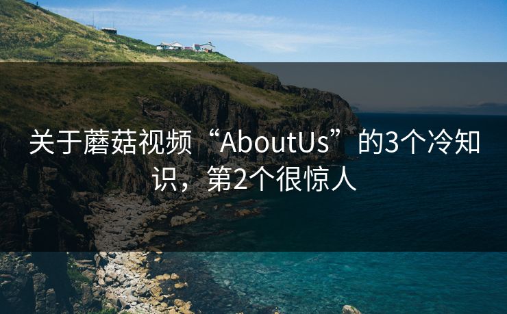 关于蘑菇视频“AboutUs”的3个冷知识，第2个很惊人