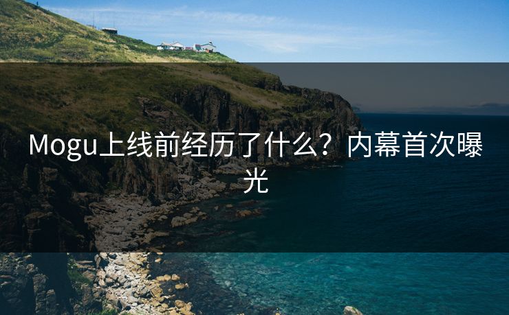 Mogu上线前经历了什么？内幕首次曝光