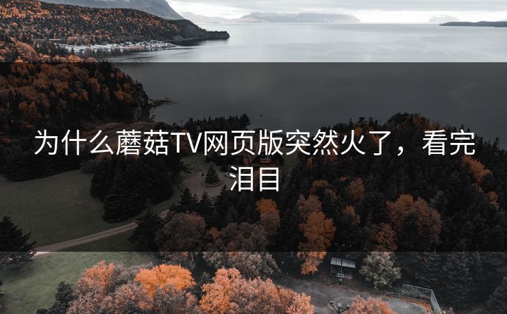 为什么蘑菇TV网页版突然火了，看完泪目