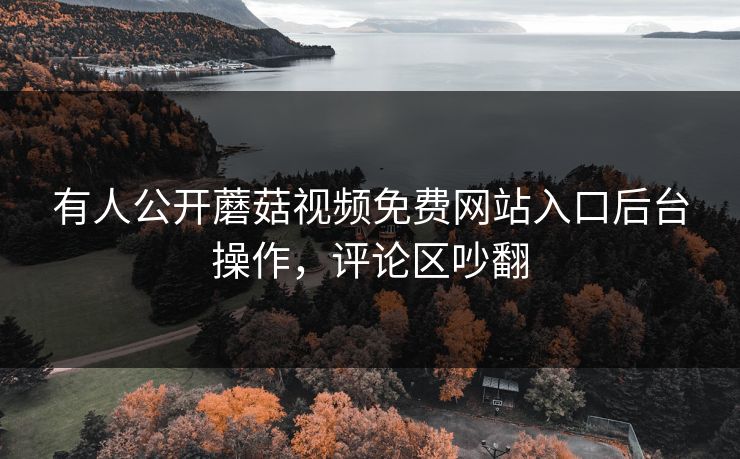 有人公开蘑菇视频免费网站入口后台操作，评论区吵翻