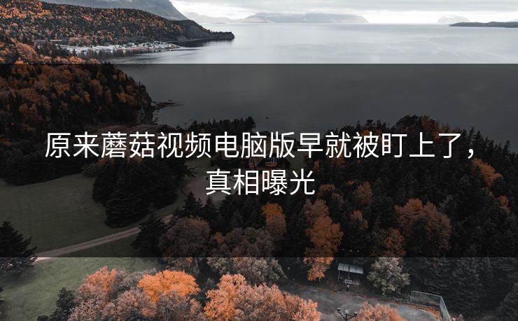 原来蘑菇视频电脑版早就被盯上了，真相曝光