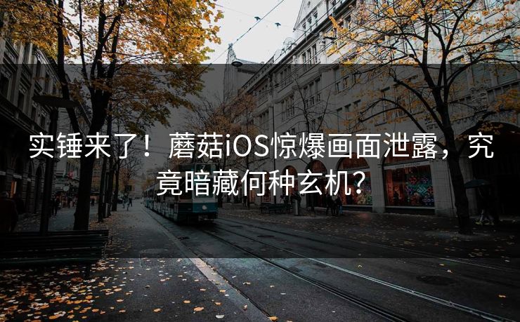 实锤来了！蘑菇iOS惊爆画面泄露，究竟暗藏何种玄机？