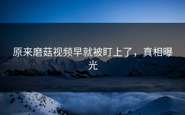 原来磨菇视频早就被盯上了，真相曝光
