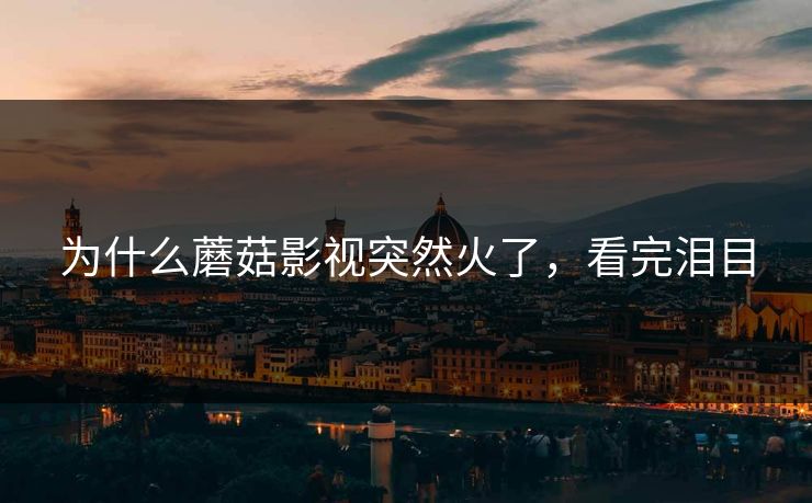 为什么蘑菇影视突然火了，看完泪目
