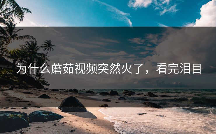 为什么蘑茹视频突然火了，看完泪目