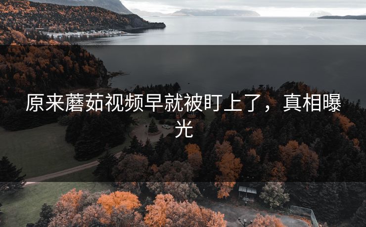 原来蘑茹视频早就被盯上了，真相曝光