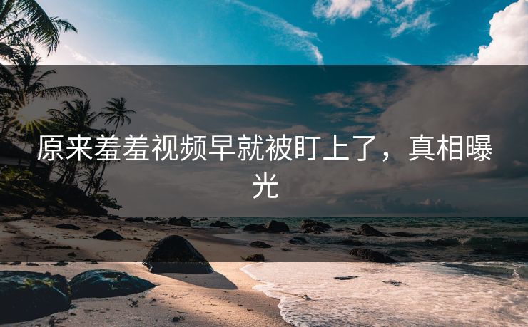 原来羞羞视频早就被盯上了，真相曝光