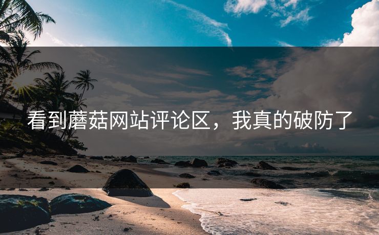 看到蘑菇网站评论区，我真的破防了
