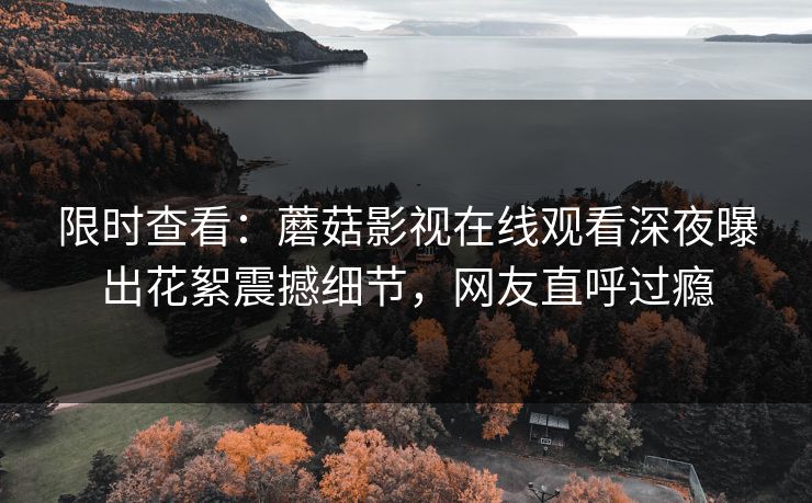 限时查看：蘑菇影视在线观看深夜曝出花絮震撼细节，网友直呼过瘾