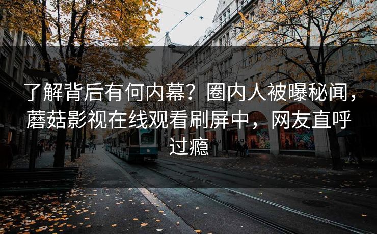 了解背后有何内幕？圈内人被曝秘闻，蘑菇影视在线观看刷屏中，网友直呼过瘾