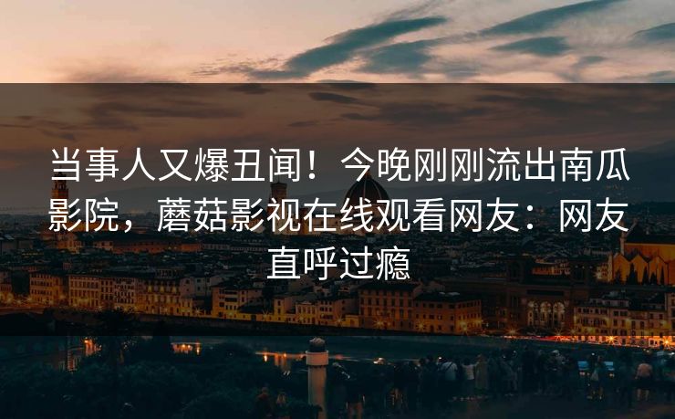 当事人又爆丑闻！今晚刚刚流出南瓜影院，蘑菇影视在线观看网友：网友直呼过瘾