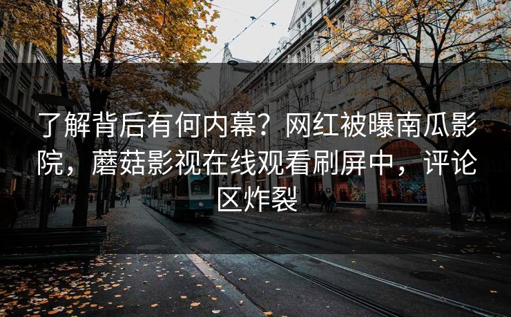 了解背后有何内幕？网红被曝南瓜影院，蘑菇影视在线观看刷屏中，评论区炸裂