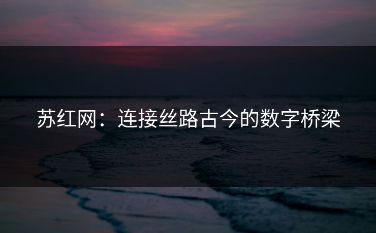苏红网：连接丝路古今的数字桥梁